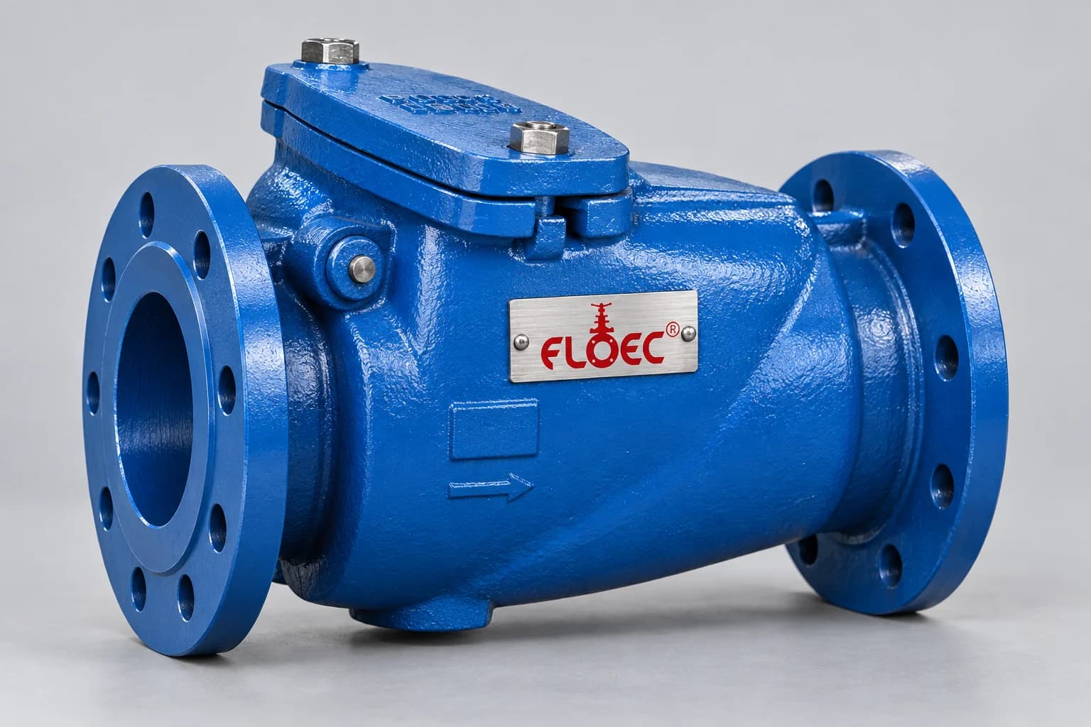 Check Valves